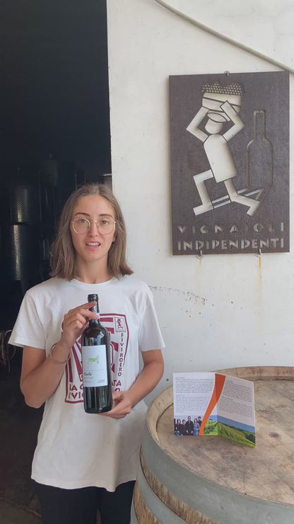 Dolcetto d'Alba ssa "Dedlà" - CA DI CAIRE'