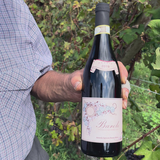 MOV. Barolo R. Molino