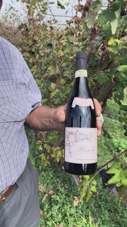 MOV. Barolo R. Molino