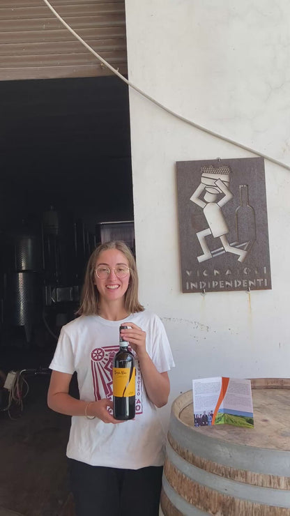Barbera d'alba DOC "Bugia Nan" - CA DI CAIRE'